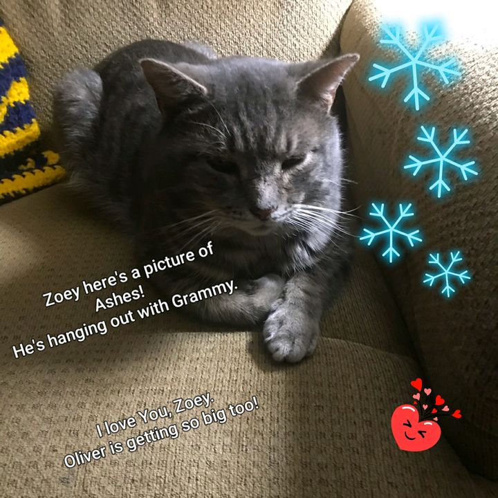 Profile Picture of Danielle Hetterman (@daniellehetterman) on Tiktok