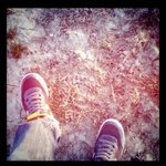 Profile Picture of Harold Curtis (@photoshopvintage) on Instagram