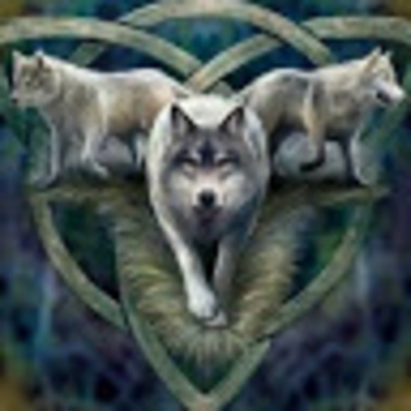 Profile Picture of Laura Quinn (@wolfmom715) on Poshmark