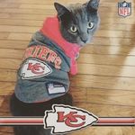 Profile Picture of lucas crowell (@lucas.crowell) on Instagram