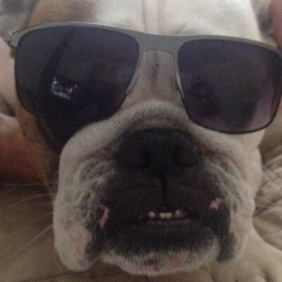 Profile Picture of James DiRosa (@JamesDiRosa) on Twitter