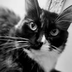 Profile Picture of Hazel Jimerson (@Hazel-Jimerson) on Facebook