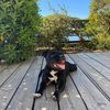 Profile Picture of David Bott (@@davidbott) on Tiktok