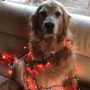 Profile Picture of A.J. Hummel (@Brwneyedgirll1) on Youtube