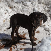 Profile Picture of Hazel Parker (@hazel-parker-12) on Quora