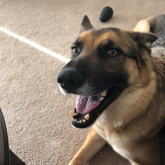 Profile Picture of Jim Harsen (@harse1jd) on Poshmark