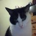 Profile Picture of Dora Quirk (@dora.quirk) on Facebook