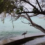 Profile Picture of FabienneHaller (@fabiennehaller7) on Instagram