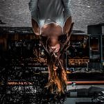 Dave Ayala Photography - Instagram Profile Picture of Dave Ayala Photography (@_dave_ph_) on Instagram