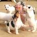 Profile Picture of C. Enwright (@crystalenwright) on Pinterest