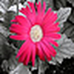 Profile Picture of Tiffiney & Anthony Wright (@tiffnanthony) on Flickr