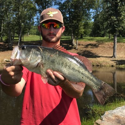 Profile Picture of Kyle Gray (@kylegray08) on Twitter