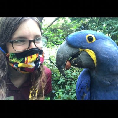 Profile Picture of Meg Fowler (@MeggieMoo308) on Twitter