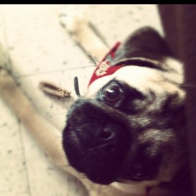 Profile Picture of Bobby Kistabish-Côté (@Frank_Les_Handz) on Twitter