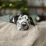 Shawn Knepper - Instagram Profile Picture of Shawn Knepper (@shawn_knepper) on Instagram