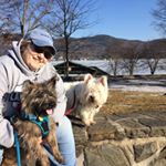 chris oden - Instagram Profile Picture of chris oden (@odenchris) on Instagram