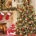 Profile Picture of Sylvia Tillman (@christmas_tree_shops) on Instagram