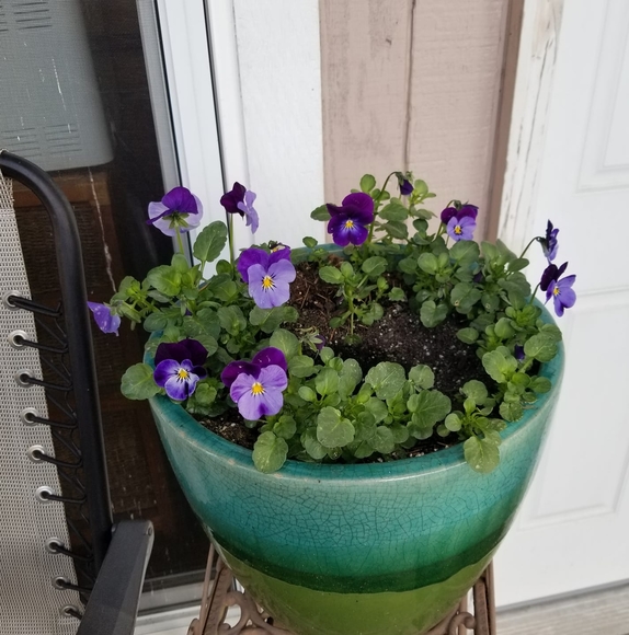 Profile Picture of Marcelle Berg (@marcelle1234) on Poshmark