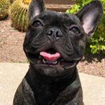 Profile Picture of Cooper O’Brian Gillihan (@coop.2018) on Instagram