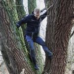 Profile Picture of Albert de Jong (@all_birds_) on Instagram