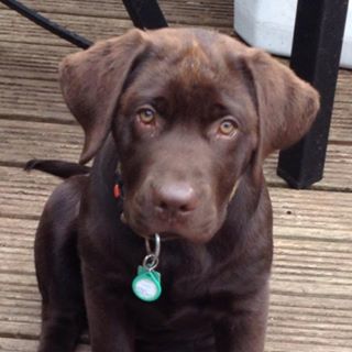 Profile Picture of Benjamin Fluff Walker (@fluffy2k12) on Facebook