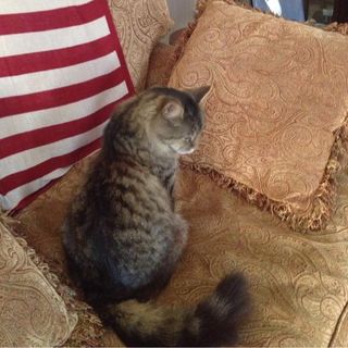 Profile Picture of Isabel Leger (@isabel.leger.520) on Facebook