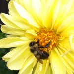 Deb Hughes - Instagram Profile Picture of Deb Hughes (@deblynnhughes) on Instagram