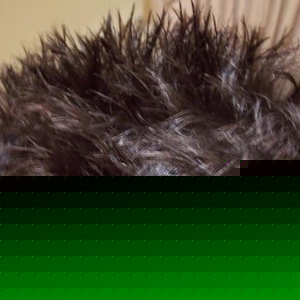 Profile Picture of Jamie Busuttil (@362403188) on Myspace