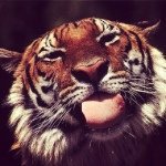 Profile Picture of Hilary Tate (@hilaryugtatewx) on Instagram