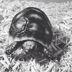 Profile Picture of John Lennie (@john.lennie16) on Instagram