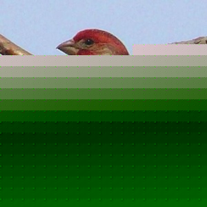 Profile Picture of Louis Charboneau (@just_another_guy1) on Myspace