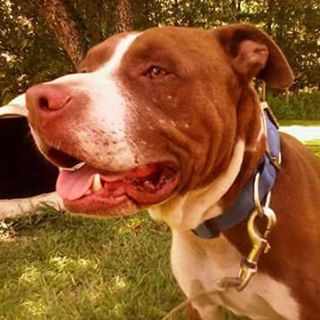 Profile Picture of Derek Rash (@derek.rash.38) on Facebook