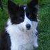 Profile Picture of Ronald Chalmers (@ronald.chalmers2) on Facebook