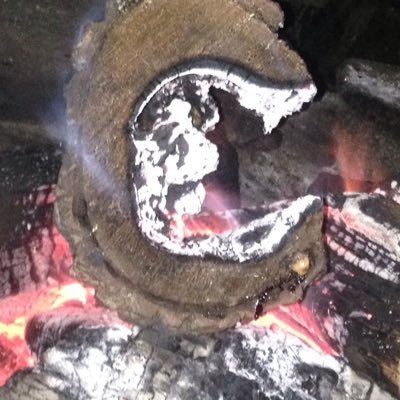 Profile Picture of Clark Ben Chapman (@cbenchap) on Twitter