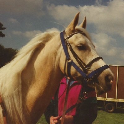 Profile Picture of Lorraine Engel (@0790len004Engel) on Twitter