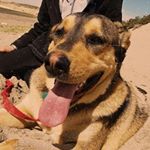 Profile Picture of Axel Engel (@axel.engel.50) on Instagram