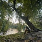 Profile Picture of Jack Lafayette (@jack_lafayette) on Instagram