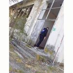 Profile Picture of Daniel Janicki (@dan.janicki) on Instagram