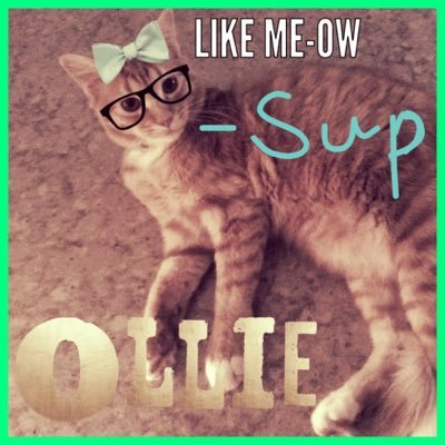 Profile Picture of Campbell Gardner (@FASHIONGIRL4564) on Twitter