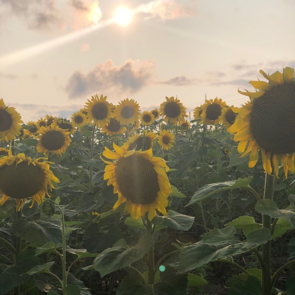 Profile Picture of Jessica Killinger (@jessesk95) on Poshmark