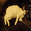 Profile Picture of doug (@DB.Sykes) on Flickr