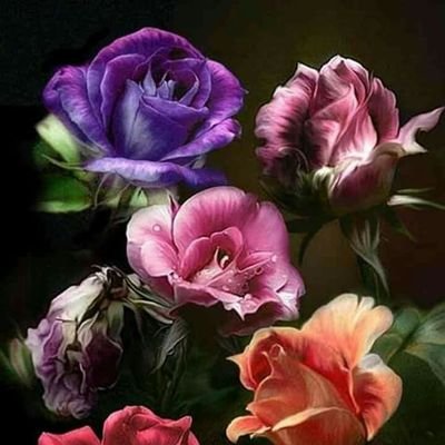 Profile Picture of Berre Zeynep Şimşek  🇹🇷  🤲 🌹 (@simsek_berre) on Twitter