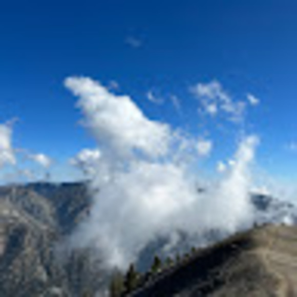 Profile Picture of Jeffrey Escarrega (@jescarrega) on Poshmark