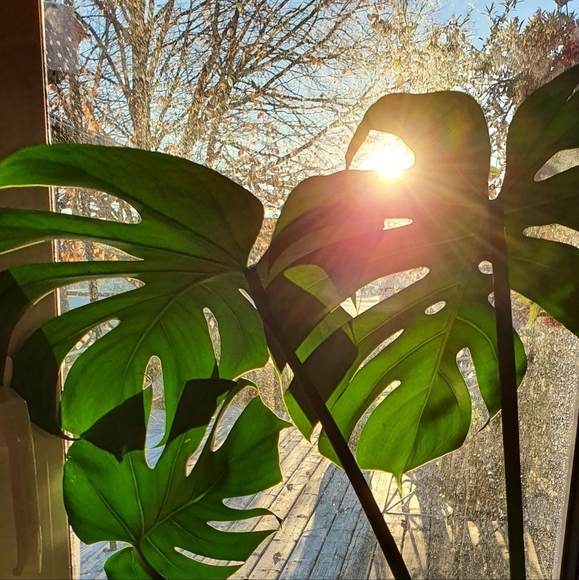 Profile Picture of Lily Pollard (@lessismore91) on Poshmark