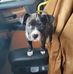 Profile Picture of Bruce Claiborne (@bruce.claiborne.73) on Facebook