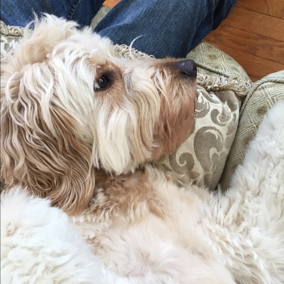 Profile Picture of Carlos Araujo (@cma_ct) on Poshmark