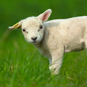 Profile Picture of Alex Olivas (@alexolivas6592) on Youtube