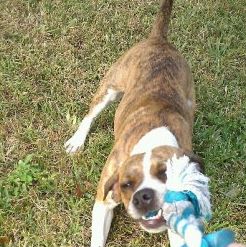 Profile Picture of Alyson Barry (@alyson.barry.5) on Facebook