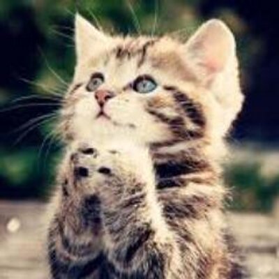 Louise Saxon - Twitter Profile Picture of Louise Saxon (@BillyBobBobBob1) on Twitter