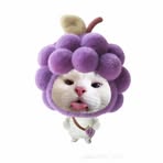 Profile Picture of Chuột Nek (@chuot.nek.29519) on Facebook